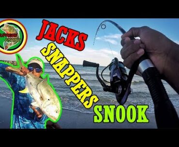 Dock Fishing For Snappers And Catching Jacks & Snook! (These Fish Are Fired Up!)