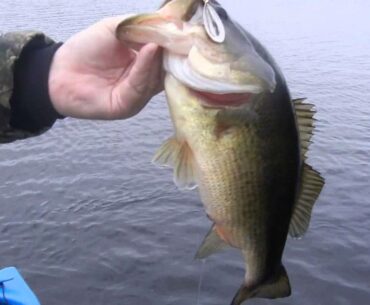 The Bass College - Primehook National Wildlife Refuge Spring Bass Fishing