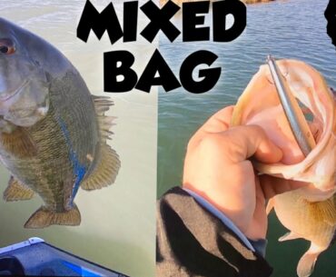 Modesto Reservoir Bass Fishing.(MIXED BAG)
