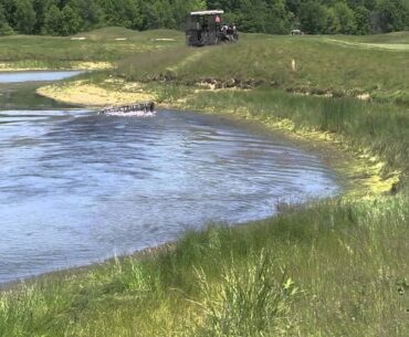 Retrieving Golf Balls from the Lake at Purgatory Golf Club