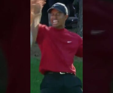 Tiger Woods: Greatest Golf Shots (Part 1 in this YouTube Channel's Series)  #shorts #golf #sports