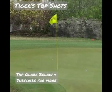 Tiger Woods: Greatest Golf Shots (Part 2 in this YouTube Channel's Series)  #shorts #golf #sports