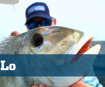Hi-Lo Reef & Wreck Fishing - Florida Sport Fishing TV - Snapper, Grouper, Porgies, Best Baits