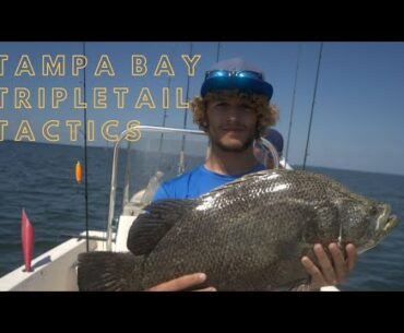 TripleTail Fishing Tactics in Tampa Bay,Fl.