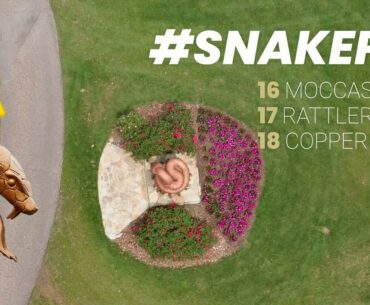 Innisbrook's famed 'Snake Pit' has plenty of bite