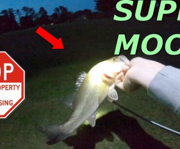 Catching PRIVATE Golf Course Bass During A SUPER MOON-- Aggressive Fish