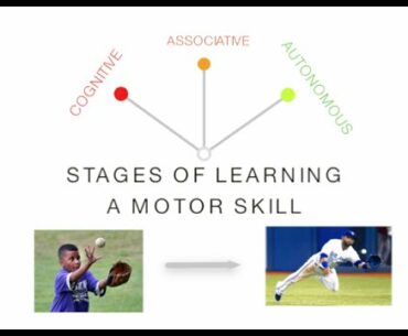 Stages of Learning: Skill Acquisition - PE & Sport (Motor Skills)