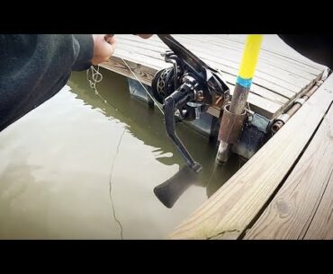 MONSTER FISH under a DOCK.. (Light Line)