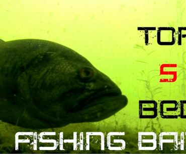 Top 5 baits for Bed Fishing