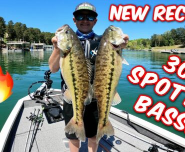 LAKE LANIER 30+ SPOTTED BASS on TOPWATER & FLUKES | AWESOME ACTION SPRING FISHING