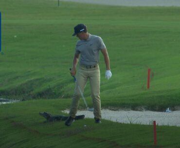 Cameron Champ's approach shot with gator looming at Zurich Classic