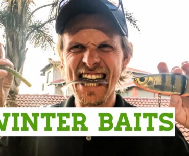 5 Must Use Winter Bass Fishing Baits To Catch More Fish