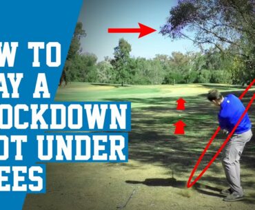 How To Play a Knockdown Shot Under Trees