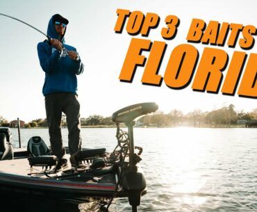 Three Must Have Baits for Florida Bass Fishing