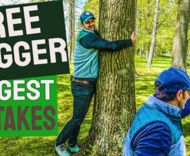 TOP 5 Tree Mistakes for Golfers - SAVE SHOTS INSTANTLY - Tree Golf Tips for Beginners