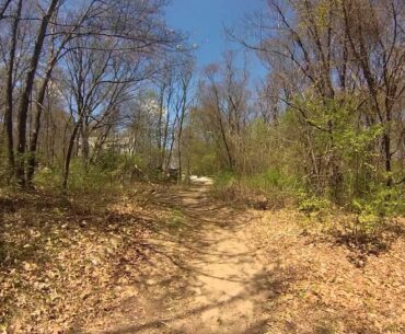 Explore Disc Golf's course design process in Peabody, MA