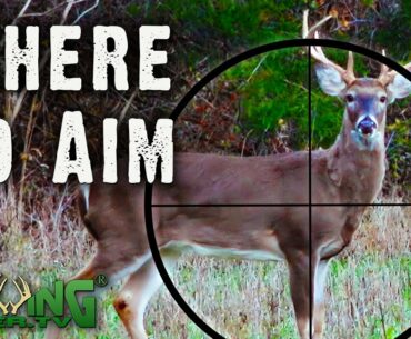 Where to Aim: A Guide for Deer Hunters from Real Hunts (#564)