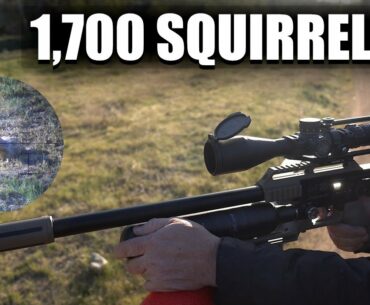 Epic Airgun Squirrel Safari With The New FX Impact M3 - 1,700+ Squirrels Down!