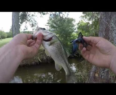 Bank Fishing Secrets?! (Jig Fishing Tips)