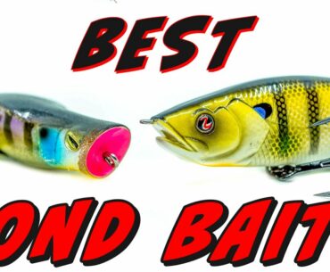 Pond Fishing For Bass: 5 Tips To Catch More Fish!