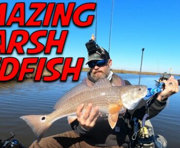 Amazing Redfish Marsh Fishing Footage! Non stop Redfish in Texas Marsh