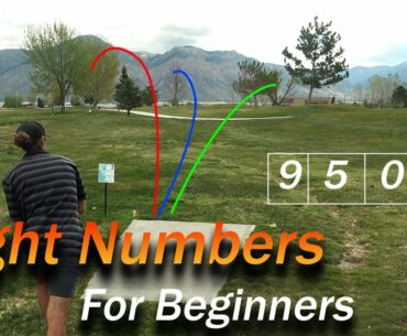 Disc Golf flight numbers for beginners