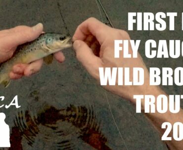 Searching for my First Wild Brown Trout of 2021 | Part 2