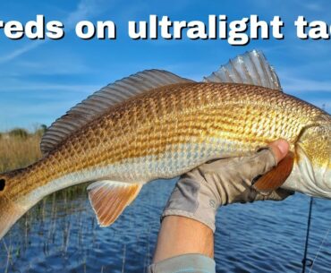 Getting Big Redfish On Ultralight Tackle After Work