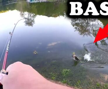 Fishing for Bass and Bluegill! Bank Fishing with a Plastic Worm & GULP