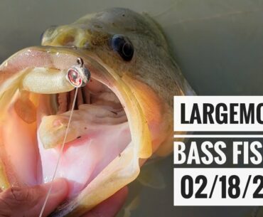Largemouth Bass Fishing 02/18/2020 (Release Footage ONLY) | Brownsville, TX