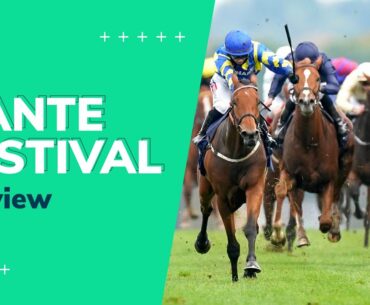 Dante Festival 2021 | Tips & Betting Preview with Andy Holding and Rory Delargy