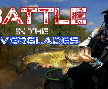 Battle in the Everglades - 5/7/21
