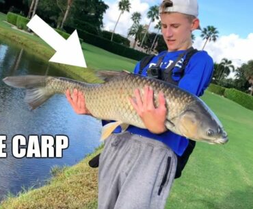 HUGE GRASS CARP SNAGGED in SOUTH FLORIDA!