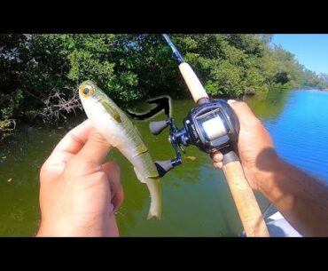 Fishing for Big SNOOK with Topwater Swimbait