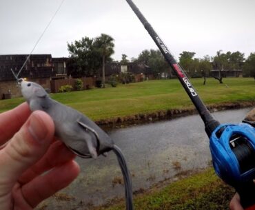 Fishing in the FREEZING Rain with a Savage Gear Mouse