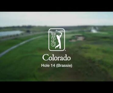 TPC Colorado at Heron Lakes Hole 14 Brassie