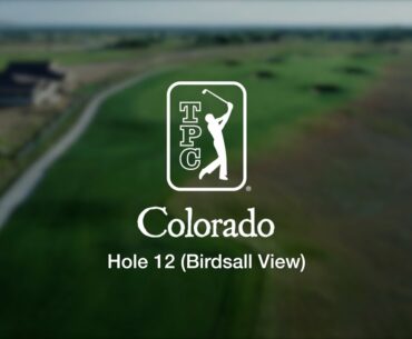 TPC Colorado at Heron Lakes Hole 12 Birdsall View