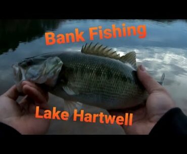 Bank Fishing Lake Hartwell for Spotted Bass! (Special Guest Appearance lol)