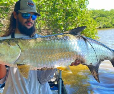 Fishing for BIG TARPON in the Mangroves