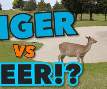 A TIGER, a DEER, and a BIRDIE!? Watch and find out who wins! (2 of 2)