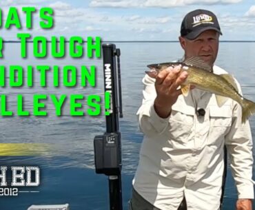 Slip Bobber Fishing for Walleye on Sunny Days - Fish Ed