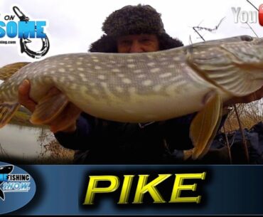 How to catch Pike with a Split Tail Deadbait - TAFishing