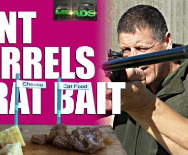 Bent Rifles & Baiting Rats - AirHeads, episode 9