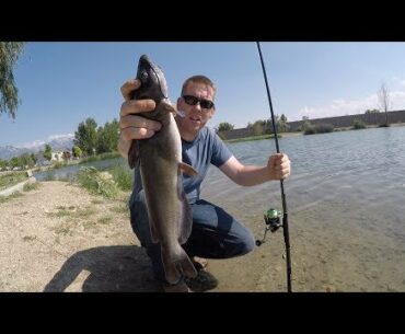 How to catch catfish in a pond - Bank fishing for catfish in a city pond