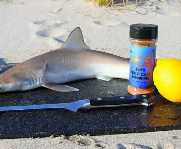 Catch and Cook BABY SHARK on the Beach!