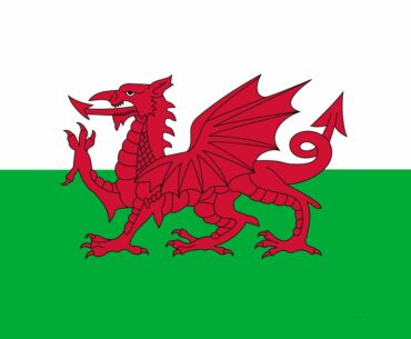 Credible's Welsh Euro 2020 (In 2021) Reaction & The Official Wales Song