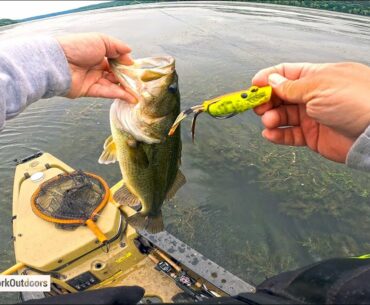 Best 20 minutes of Kayak Bass Fishing - OOW Outdoors