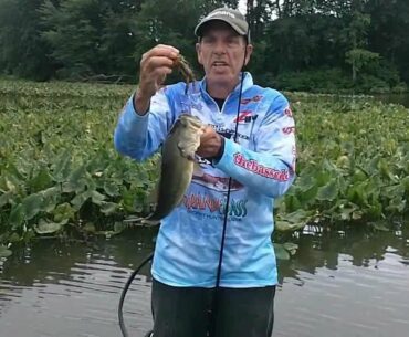 SWIM JIGS AND BUZZBAITS AT GARRISONS LAKE DELAWARE