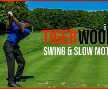 Tiger Woods Swing Compilation from Northern Trust 2020 (Slow Motion)