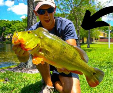 4 HOUR DRIVE WAS WORTH IT! - Florida Pond Fishing with Live Shiners